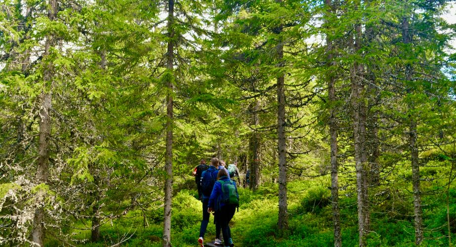 Hiken Lybergsgnupen Zweden